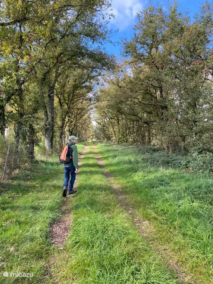 viele Wandermöglichkeiten