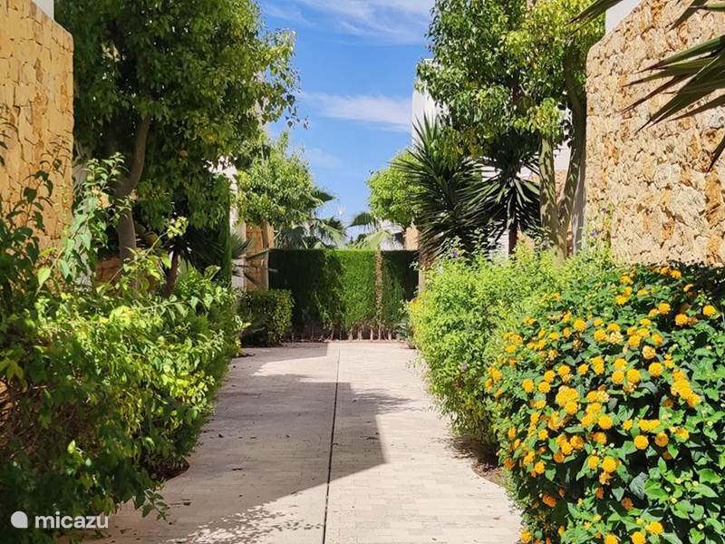 Ferienwohnung Spanien, Costa Blanca, Rojales Villa Villa mit Pool, Garten und Parkplatz