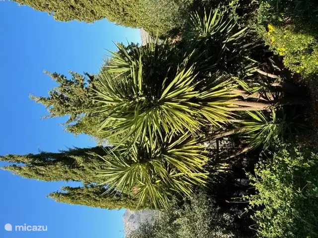 Garten am Boden des Pools