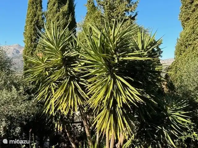 Casa Cosy en España, Costa Blanca, Orba - villa Jardín al fondo de la piscina.
