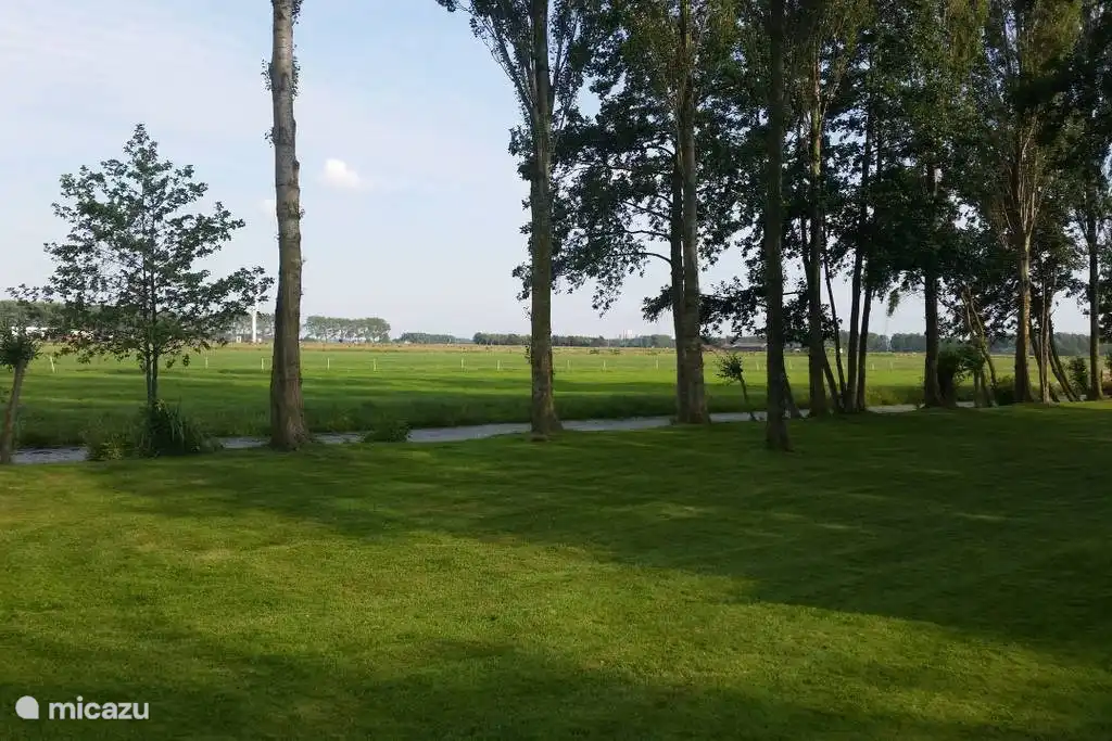 Die große Liegewiese, Liegewiese