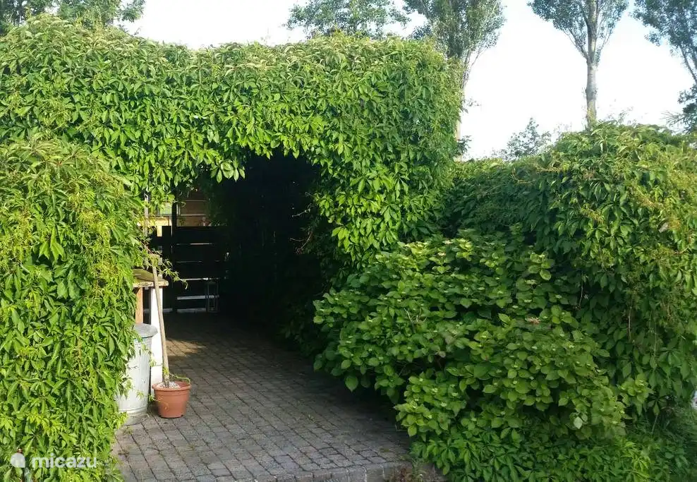 Pergola mit Durchgang