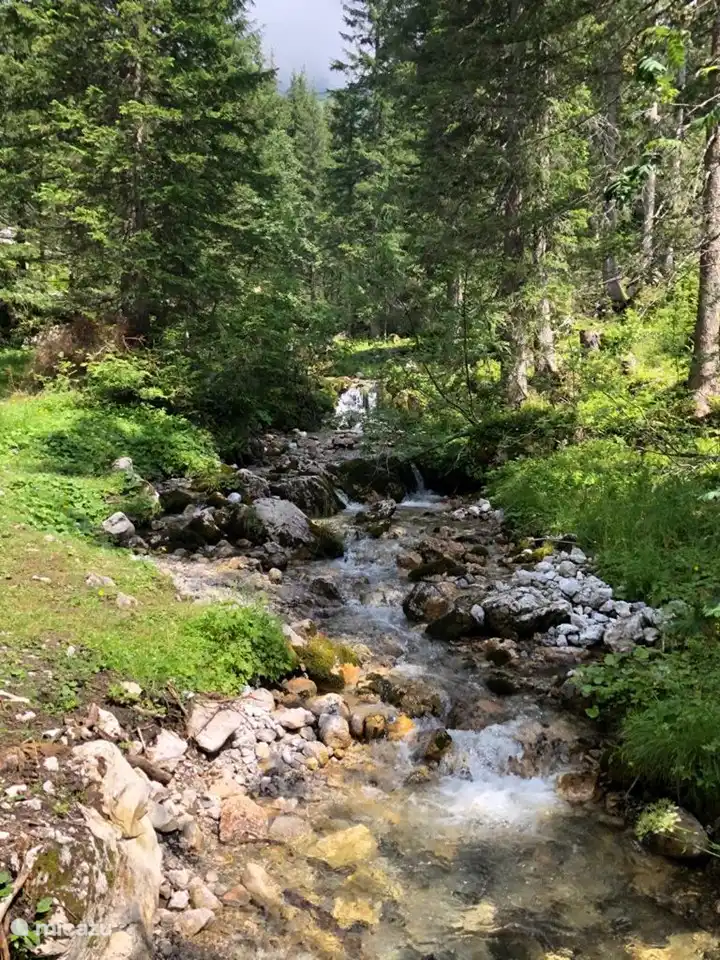 Beekje in het dorp Untertauern