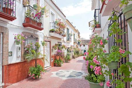 Vibrant and authentic center of Estepona