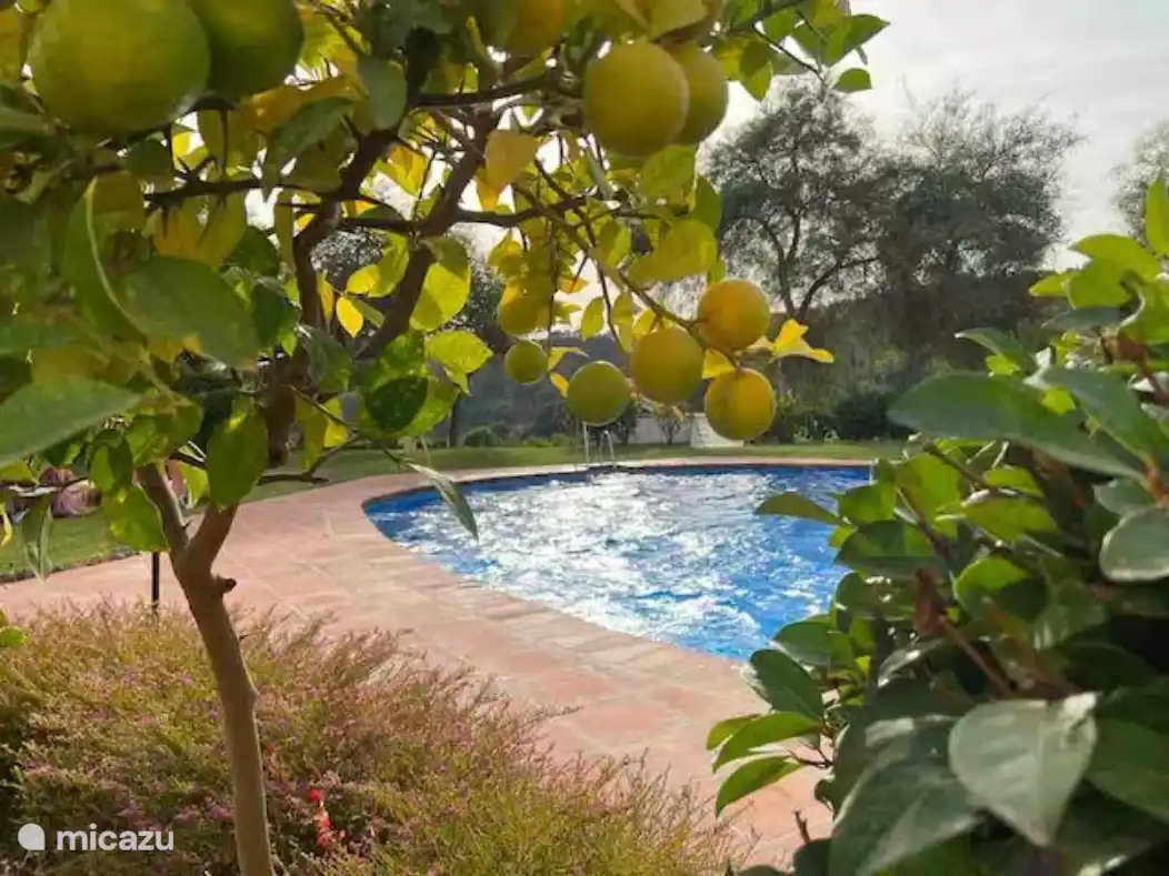 Le jardin bien entretenu possède de beaux arbres, fleurs et arbustes qui assurent le refroidissement nécessaire. 
