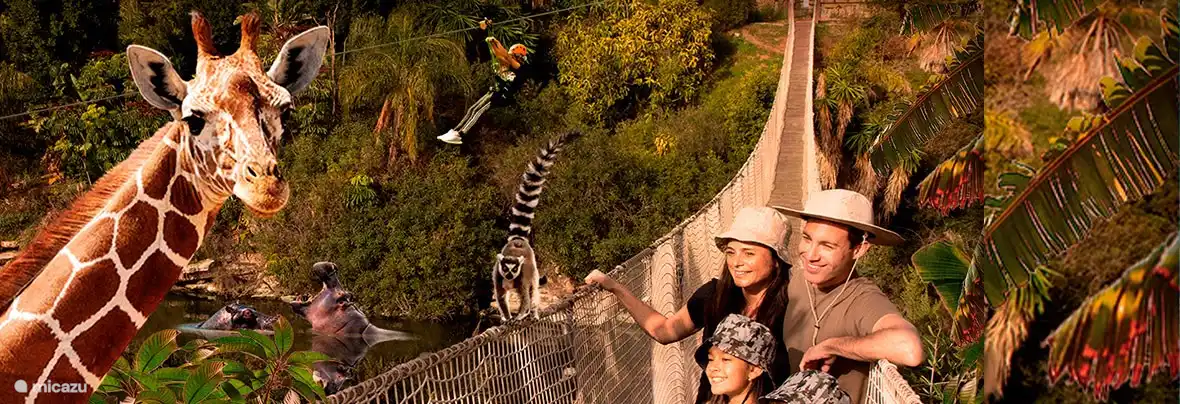 Près de la maison se trouve Selwo Aventura, le parc safari de Malaga. C'est un bon endroit où séjourner ici avec de nombreuses possibilités de se rafraîchir. Une journée de plaisir pour toute la famille : jouer et observer des animaux qui ont de beaux enclos. La nuit, vous pouvez entendre les lions de la maison.