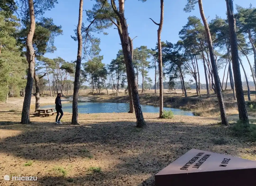 Der unerbittliche Sand