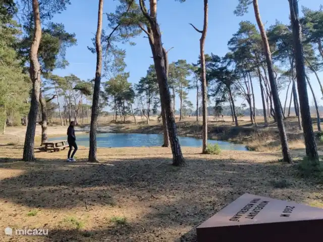 Veluwse Hoeve à Lunteren | Pays-Bas, Gueldre, Lunteren - ferme Le sable génial