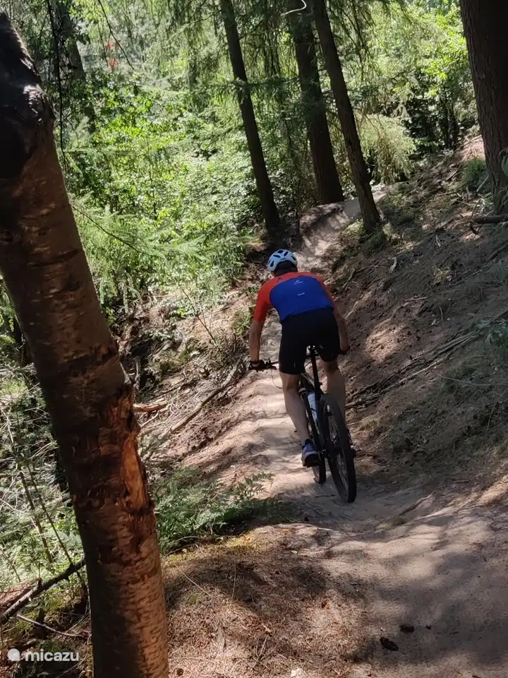 Viele Kilometer Mountainbike-Strecken befinden sich direkt in der Nähe des Hauses