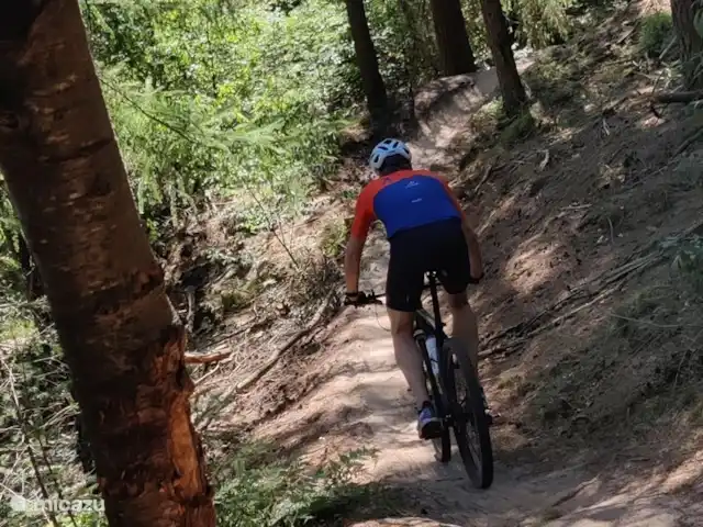 Veluwse Hoeve à Lunteren | Pays-Bas, Gueldre, Lunteren - ferme Plusieurs kilomètres de sentiers de vélo de montagne sont situés directement près de la maison