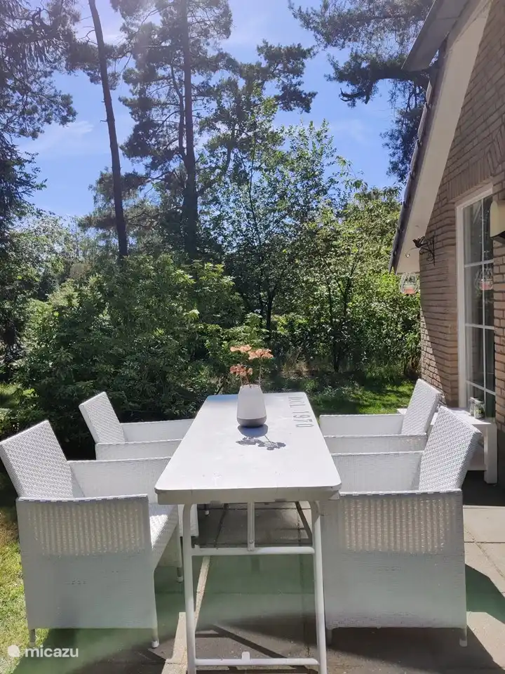 Der Garten mit Blick auf den Seitengarten