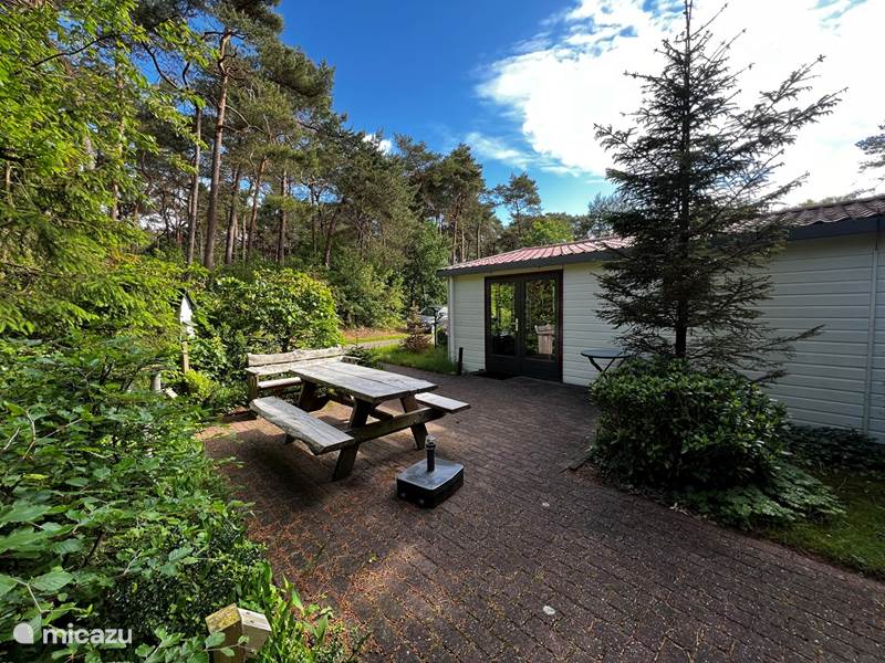 Casa vacacional Países Bajos, Drenthe, Diever Chalet vista al bosque