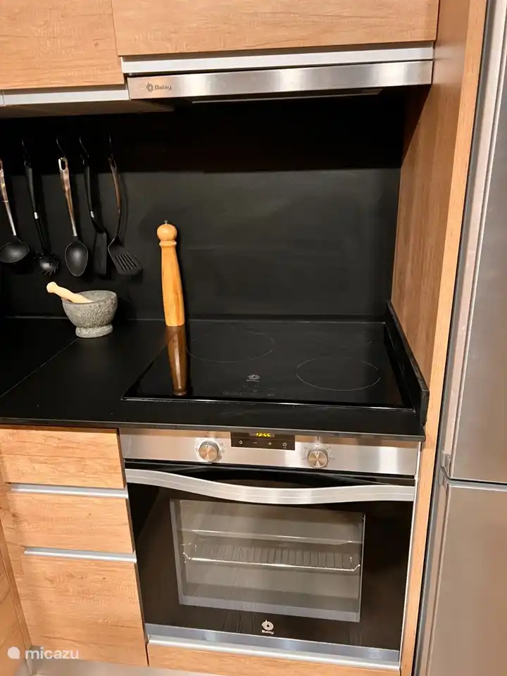 Hete luchtoven en inductieplaat!