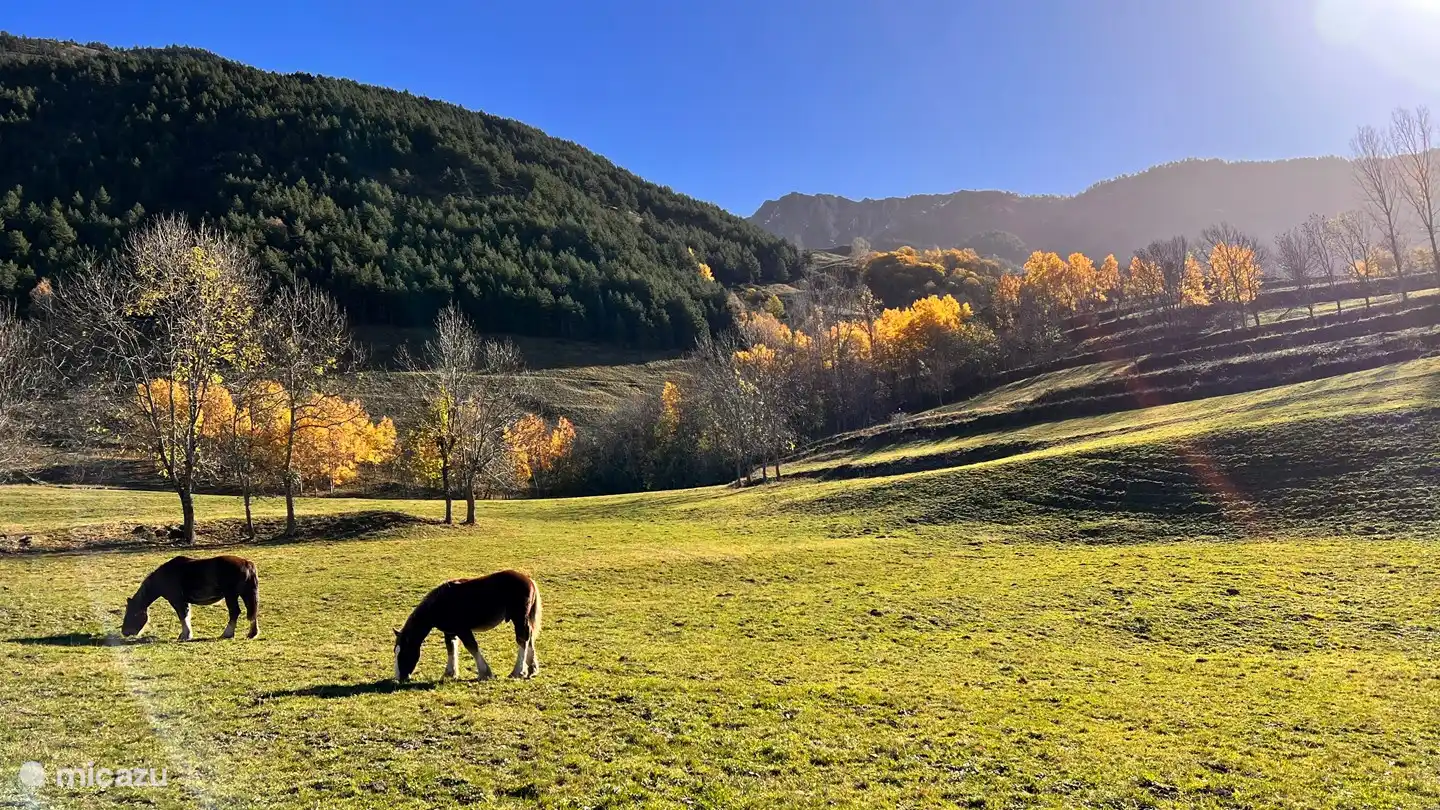 uitzicht foto op weg naar Borda Lana, op slechts 10 min wandelen van het huis