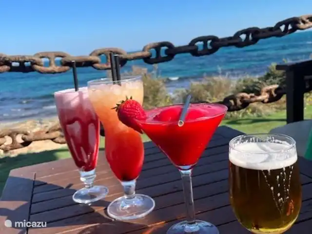 Casa Antonio- Villa - Airco - Wifi!! huren in Spanje, Costa Blanca, San Miguel de Salinas - villa Drankje in de loungebar aan het strand