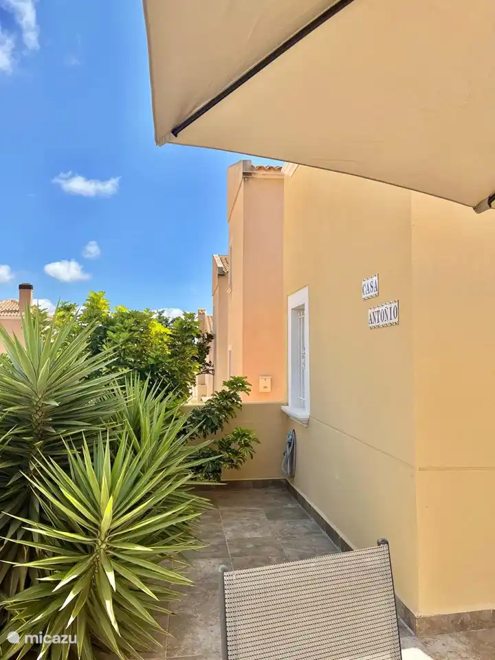 Yucca en een Spaanse Aker 
