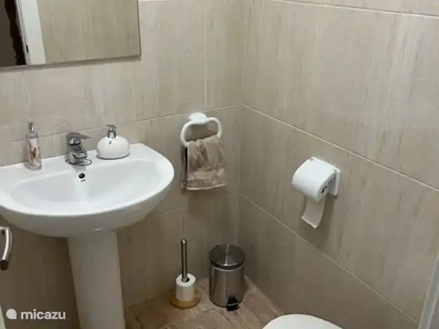 Casa Antonio- Villa - Airco - Wifi!! huren in Spanje, Costa Blanca, San Miguel de Salinas - villa toilet, entree