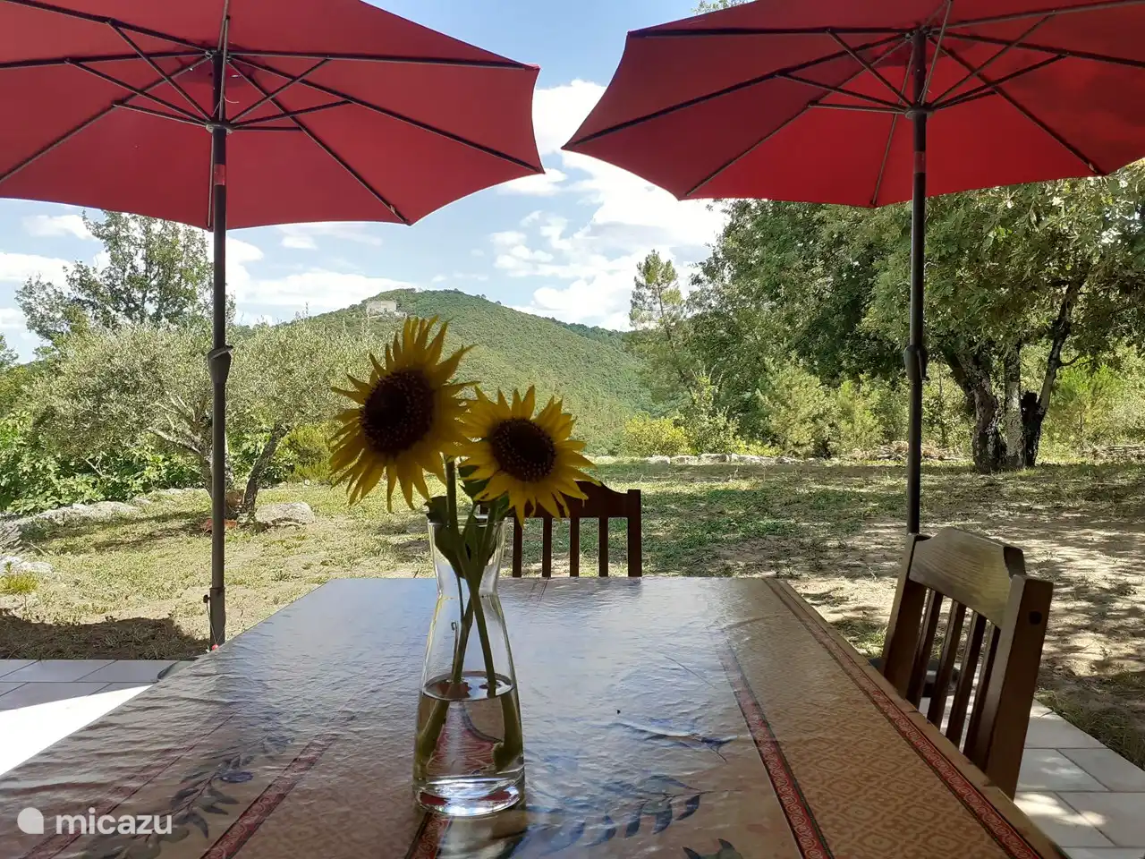 Die Sonnen unseres Hauses...