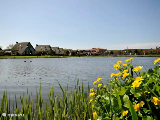 Étoile de mer 227 | Pays-Bas, Hollande du Nord, Julianadorp aan Zee - bungalow Maisons avec vue sur l'eau.