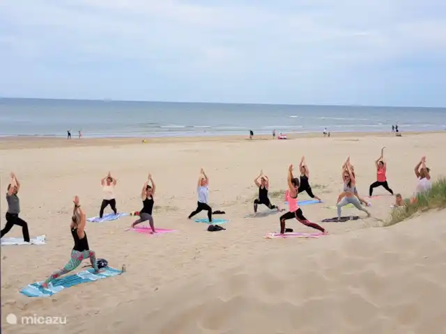 Étoile de mer 227 | Pays-Bas, Hollande du Nord, Julianadorp aan Zee - bungalow Pendant les mois d'été, des cours de yoga sur la plage sont organisés différents jours de la semaine.