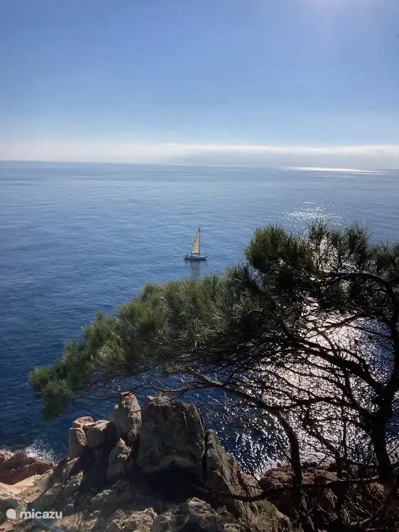 Blick auf Cosa Brava.