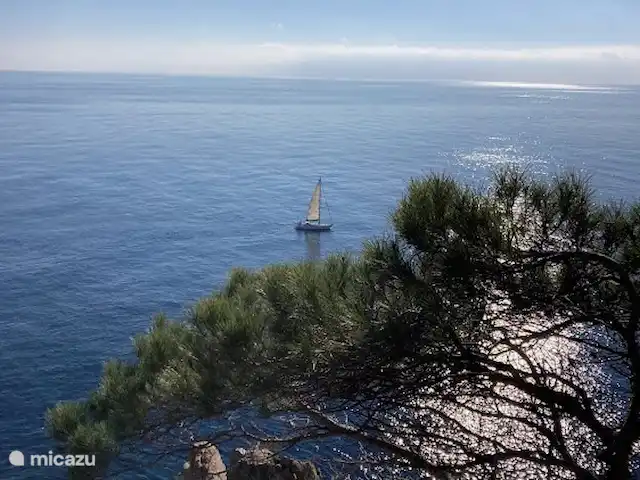Appartement Casa la Vinya Mar | Espagne, Costa Brava, Sant Feliu de Guíxols - appartement Vue de la Cosa Brava.