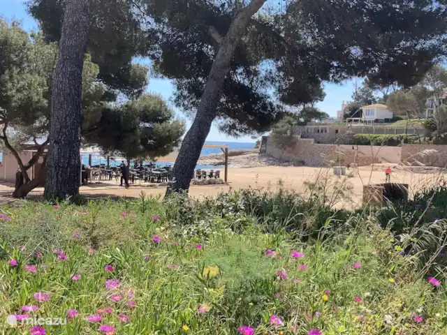 Appartement Casa la Vinya Mar | Espagne, Costa Brava, Sant Feliu de Guíxols - appartement Sa Conca avec des plats et des boissons savoureux.