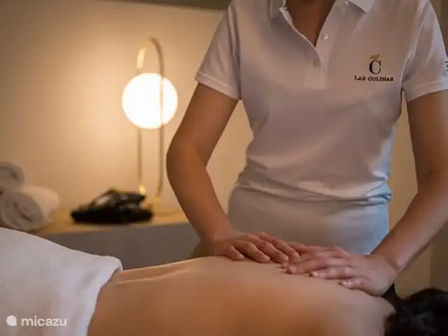 Naranjo59 - Lujoso Ático en España, Costa Blanca, Orihuela - apartamento Wellnes @Las Colinas (pago)