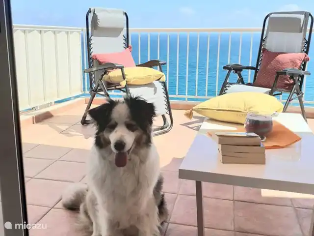 Blue Heaven huren in Spanje, Costa del Azahar, Peñiscola - appartement Noma op het terras