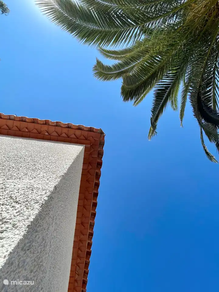 Stimmungsvolles Foto