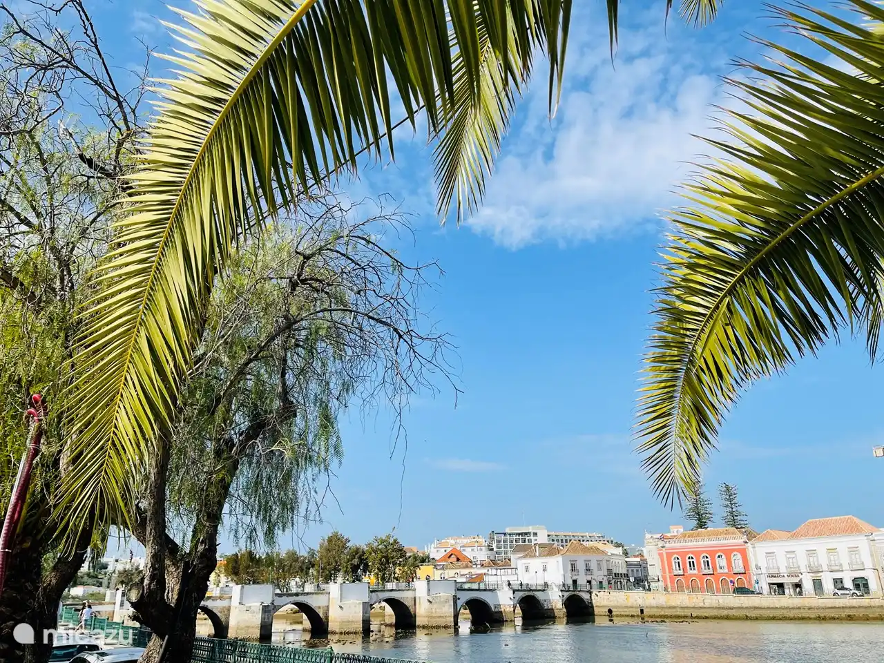 Ponte Romana over de Rio Gilao