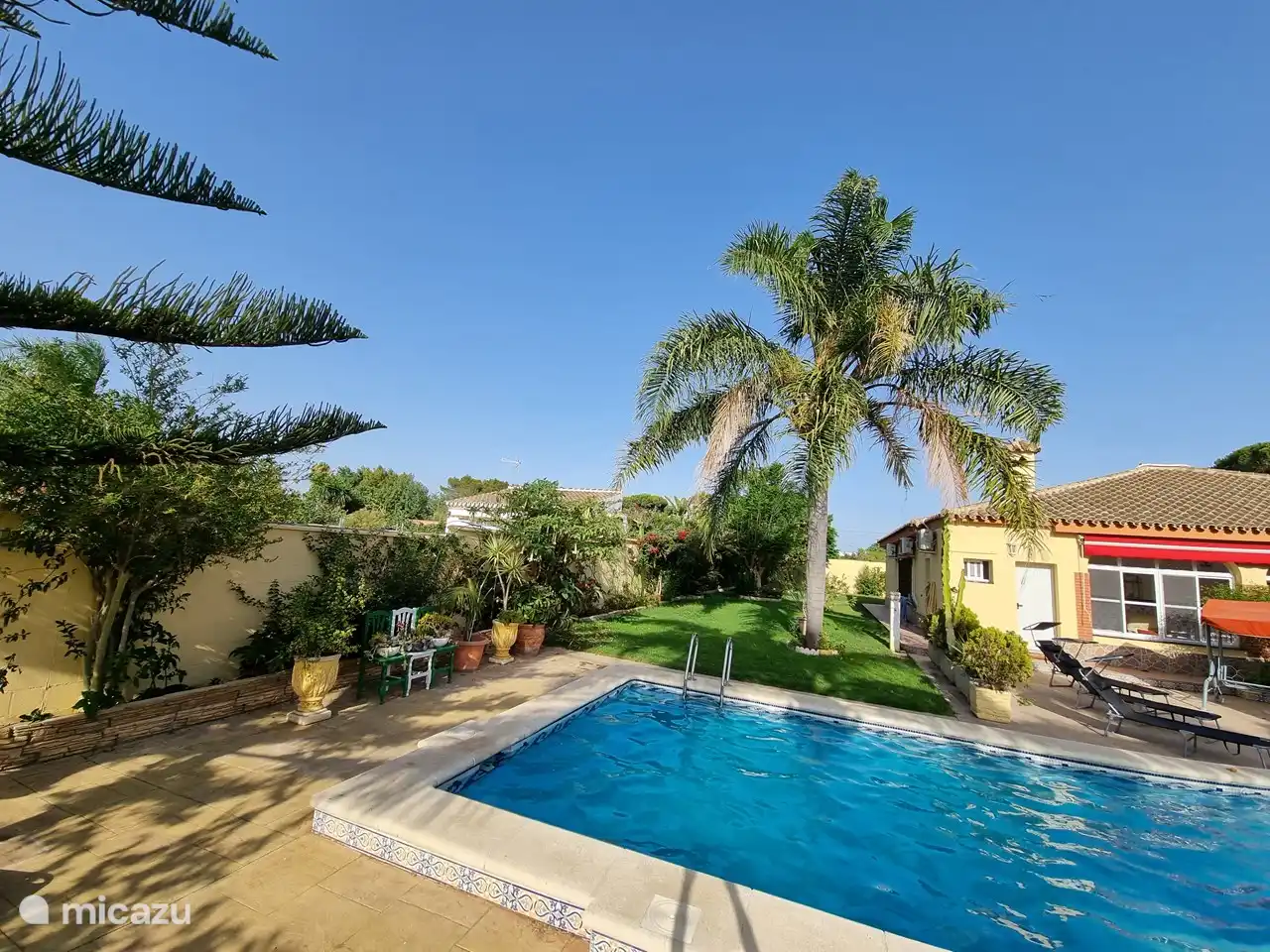 Schau dir den Garten an.