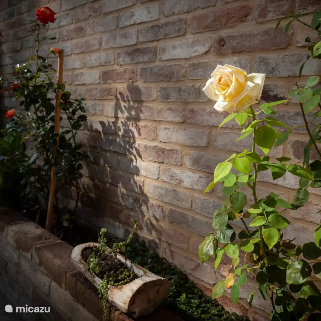 La casa di nonna Rosa