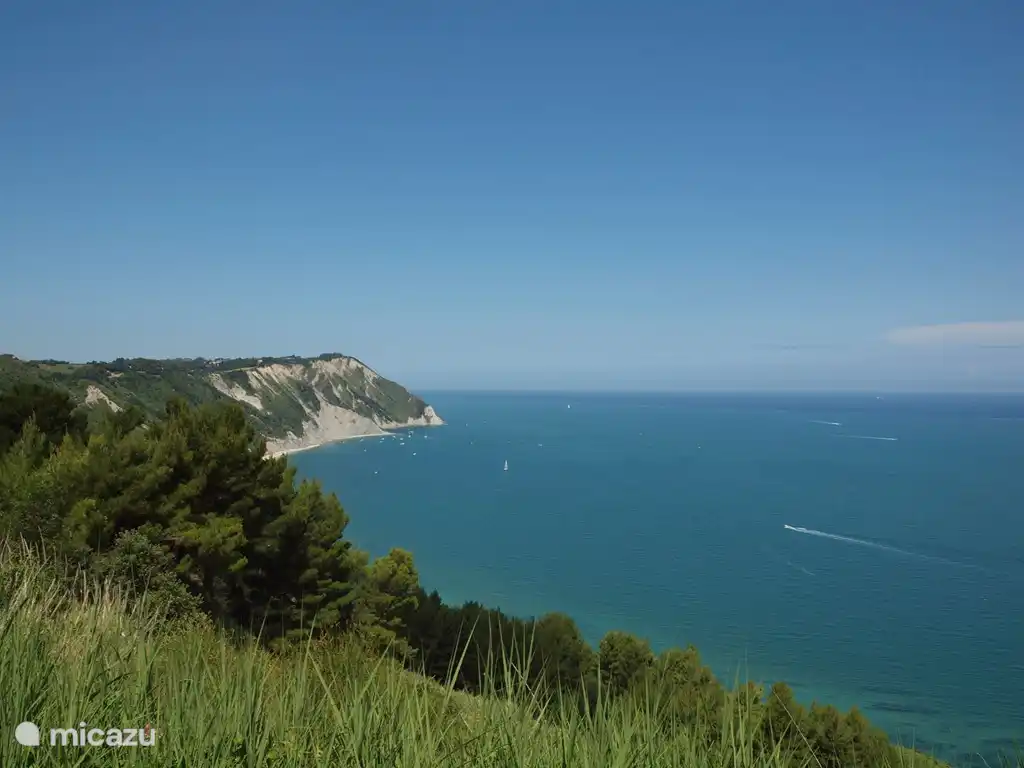 Wandeling bij de zee