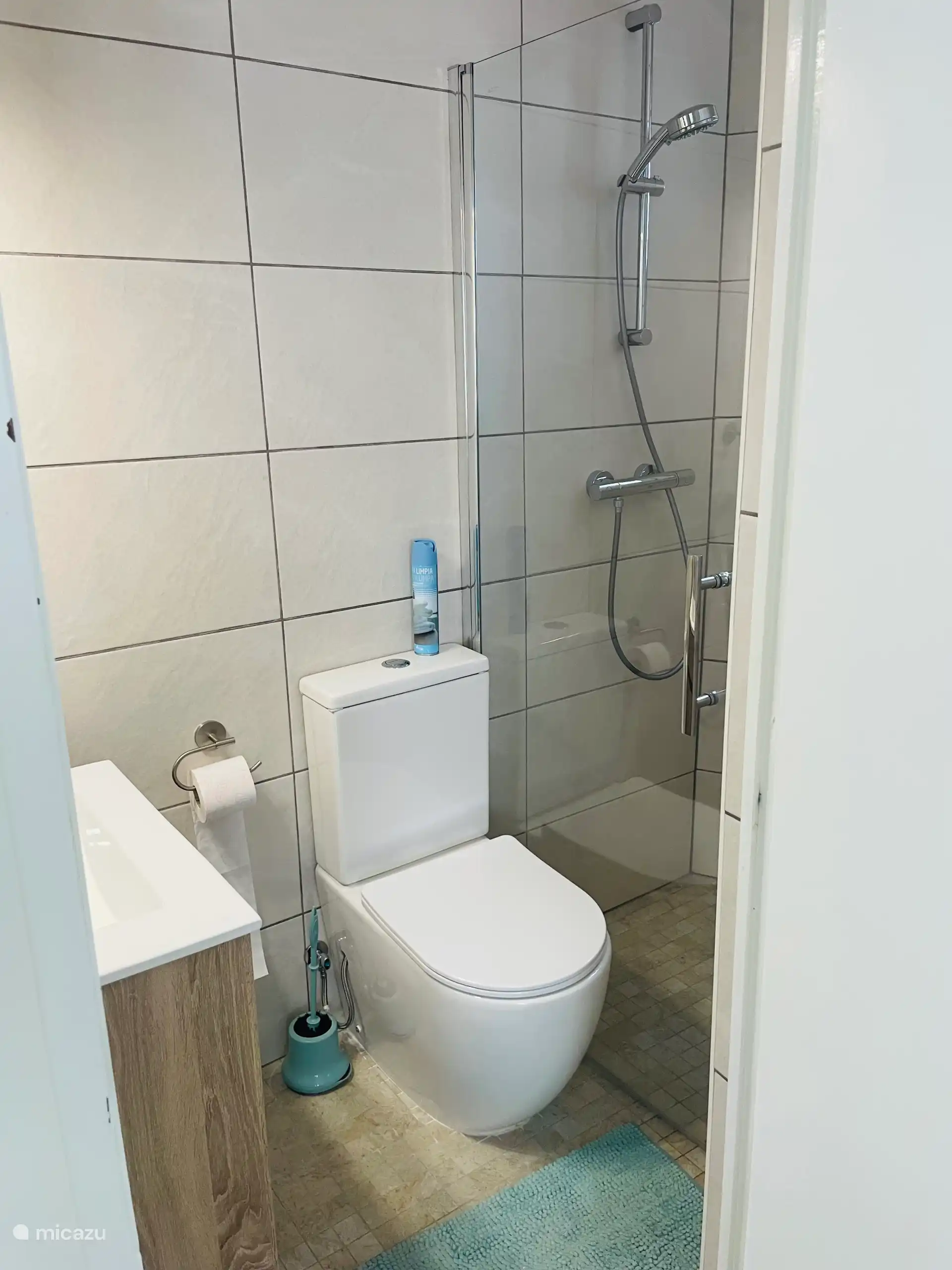 Bathroom 1 with shower, sink and toilet