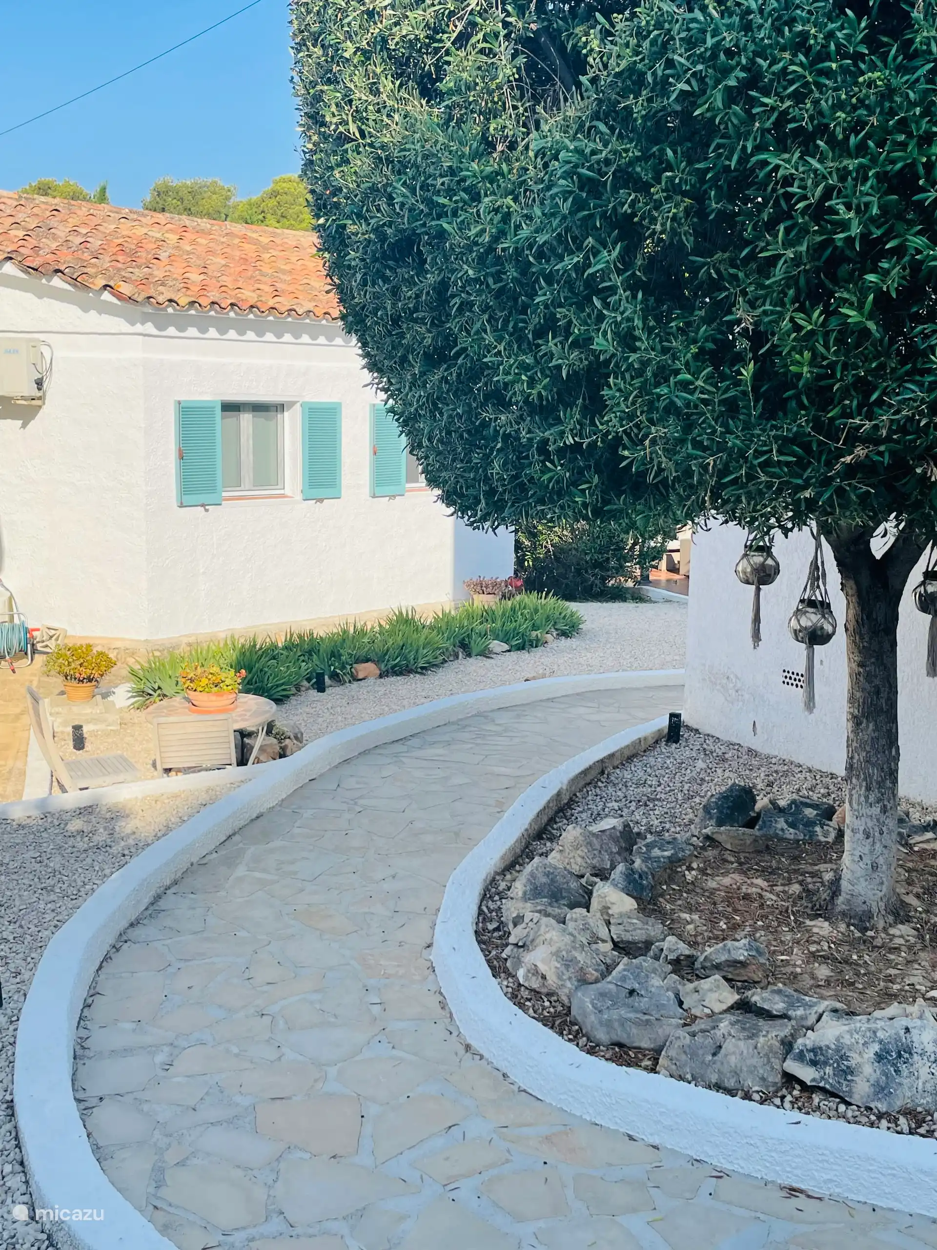 Garden with olive tree