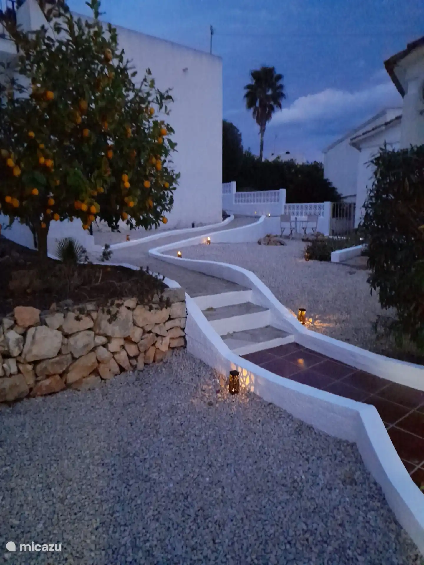 Lemons from your own garden