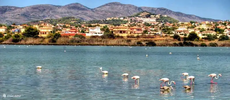 Salt water lagoon Las Salinas in Calpe