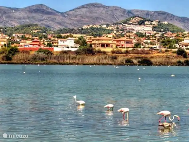 Casa Oliva - Costa Calpe en España, Costa Blanca, Calpe - casa vacacional Laguna de agua salada Las Salinas en Calpe