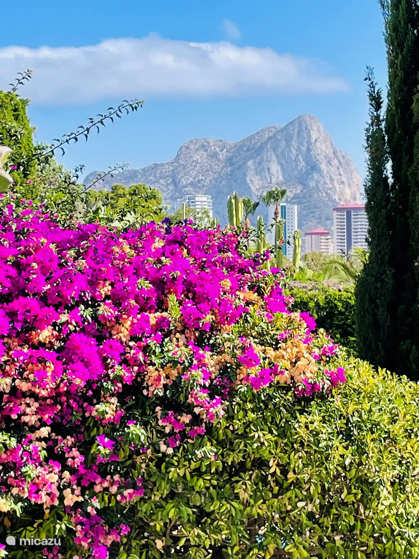 Stunning views from the naya