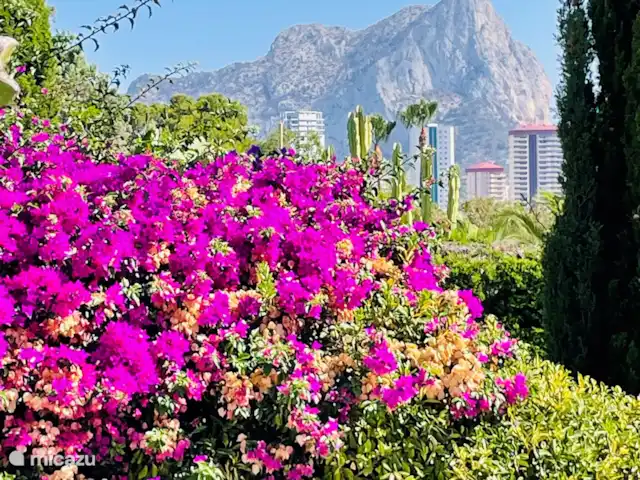 Casa Oliva - Costa Calpe en España, Costa Blanca, Calpe - casa vacacional Impresionantes vistas desde la naya