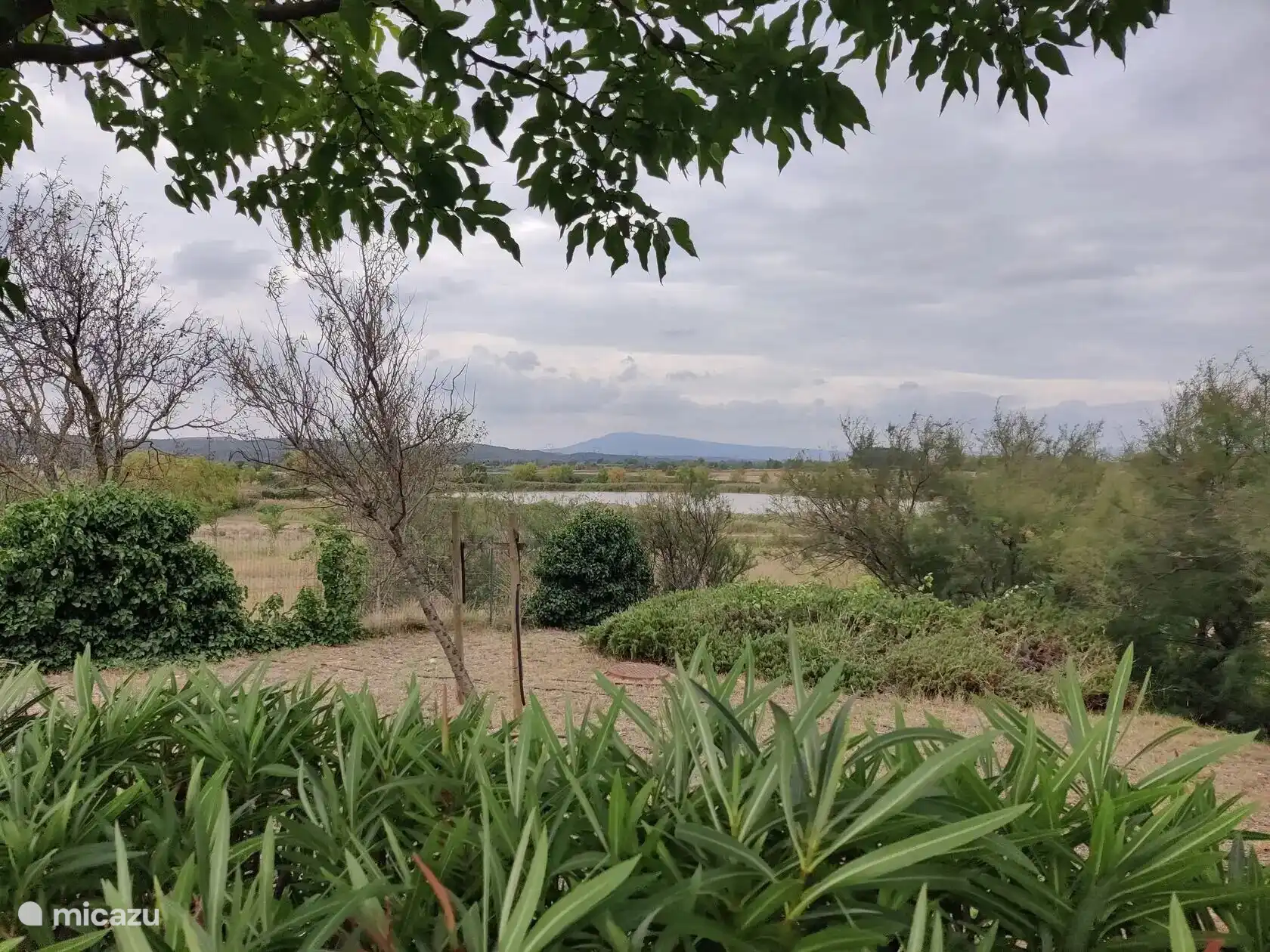 Blick auf den Teich vom Ferienhaus aus