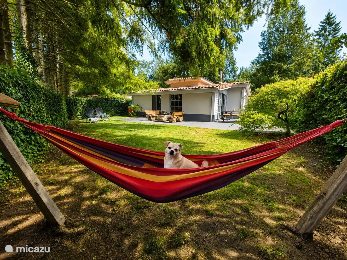 Onze Gijs in de tuin