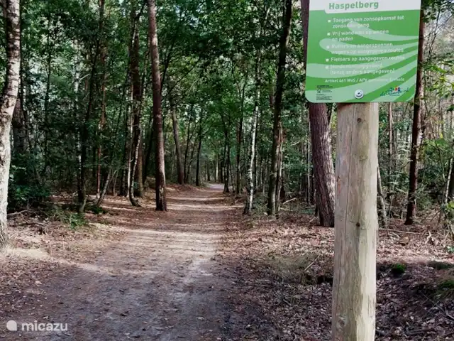 casa vacacional en Países Bajos, Güeldres, Ermelo – Villa Mar veluwe bosque en el patio trasero