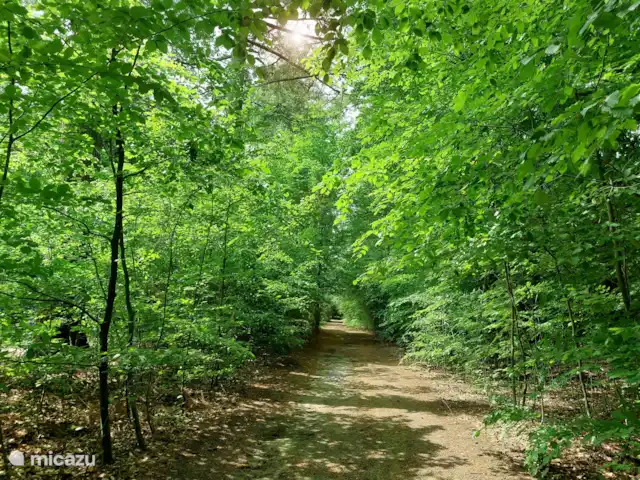 casa vacacional en Países Bajos, Güeldres, Ermelo – Villa Mar veluwe ambiente