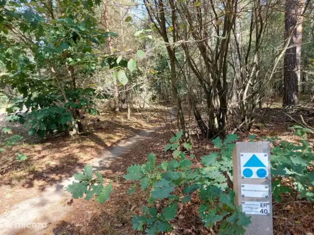 casa vacacional en Países Bajos, Güeldres, Ermelo – Villa Mar veluwe ambiente