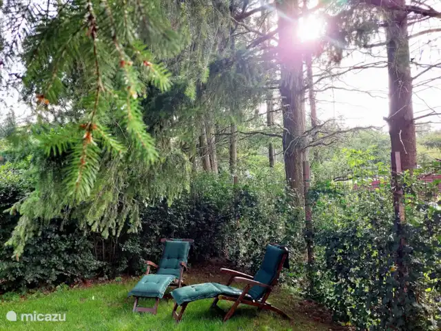 casa vacacional en Países Bajos, Güeldres, Ermelo – Villa Mar veluwe jardín