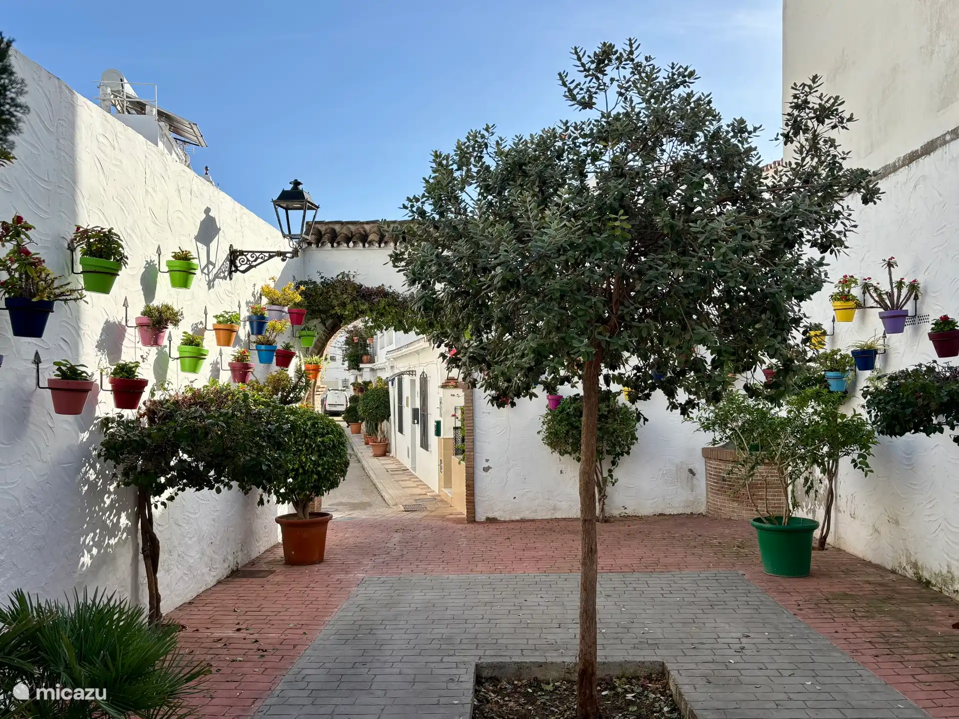 Mooi plaatje van een straatje in het oude centrum met overal gekleurde bloempotten. 
