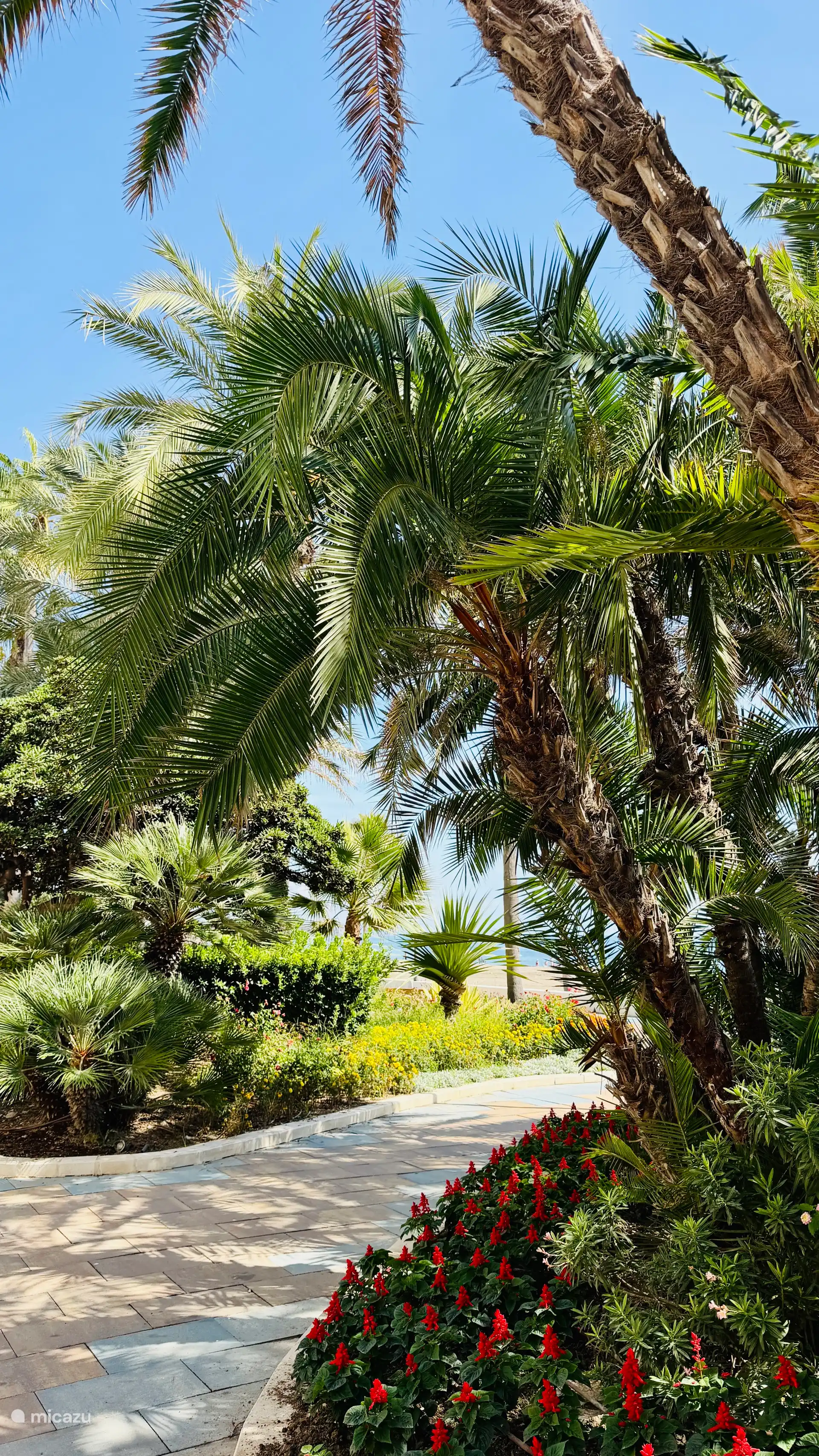 Bij de boulevard in Estepona. 