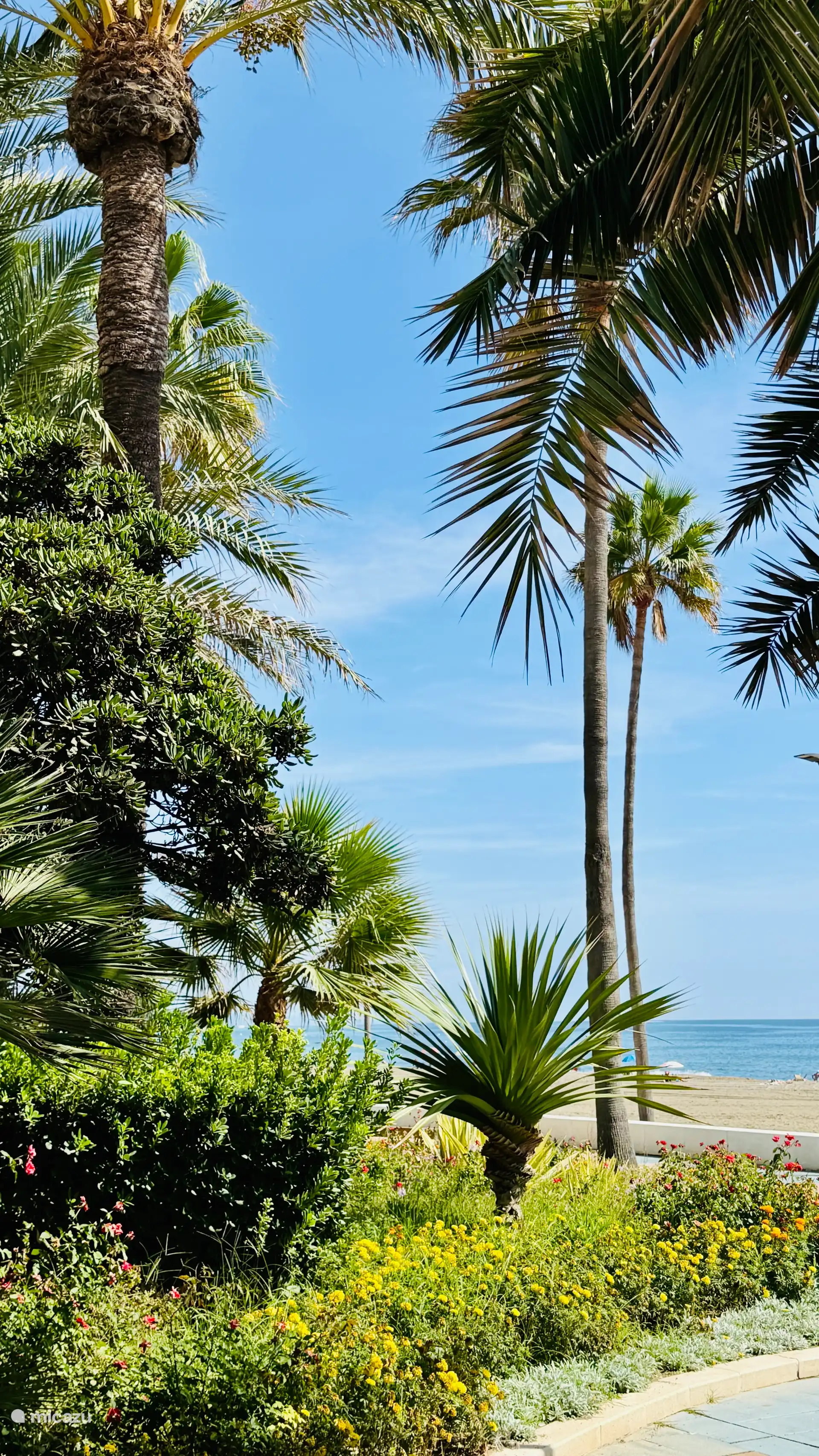 Stukje van de langer boulevard in Estepona. 